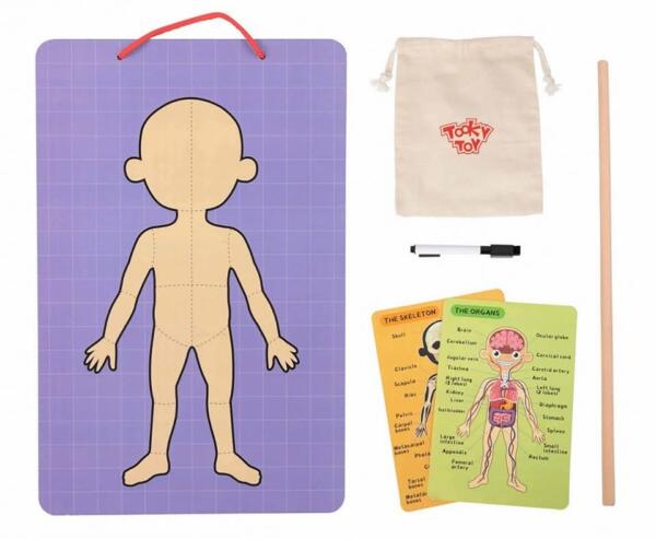 Tooky Toy Ξύλινος Μαγνητικός Πίνακας Μαθαίνω το Σώμα μου - Image 4