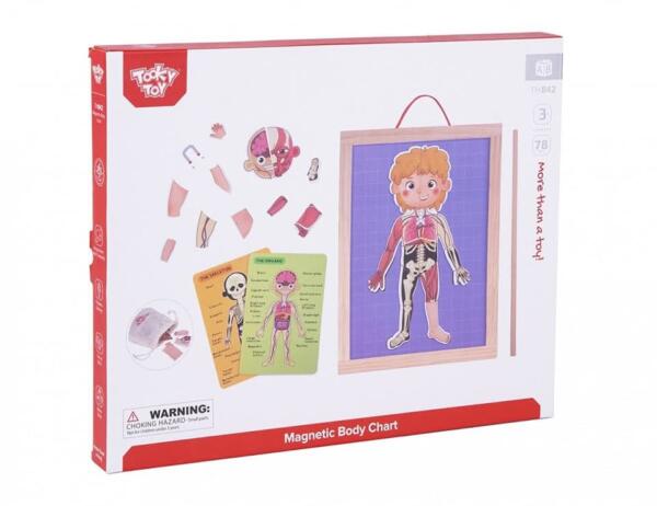 Tooky Toy Ξύλινος Μαγνητικός Πίνακας Μαθαίνω το Σώμα μου - Image 7